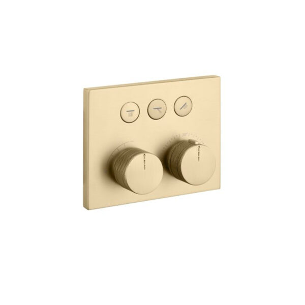 3 way diverter with thermostatic and flow control